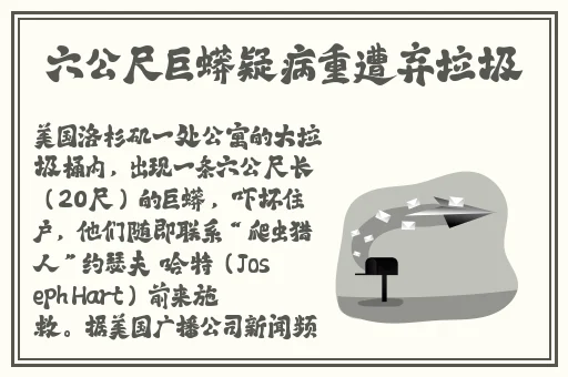 黑土腿法娴熟脚法网站
